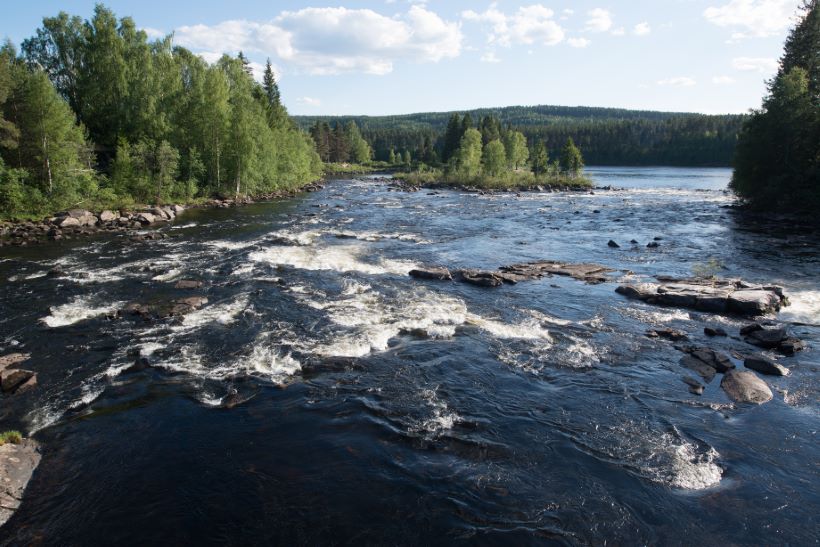 busselskap Elverum
