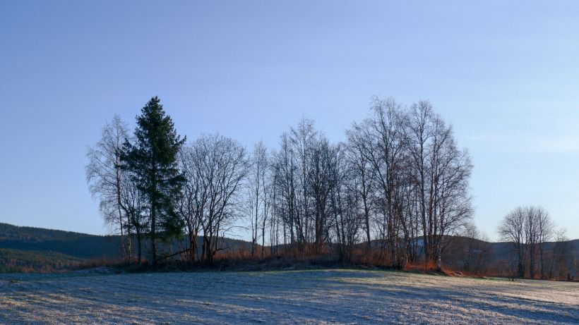 busselskap Hurdal
