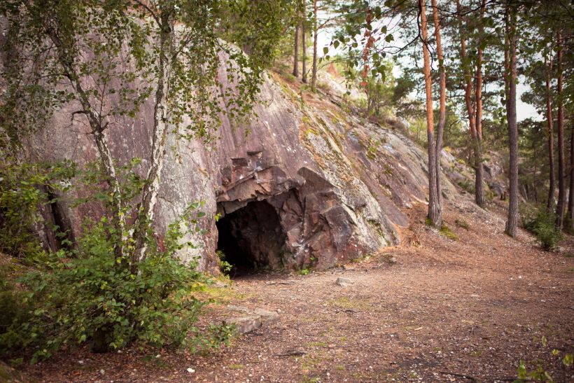 busselskap Nesodden