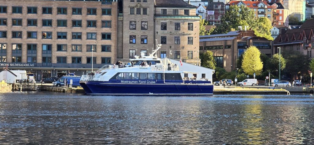 fjord tours4